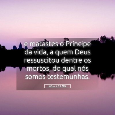 Picture 05 - Atos 3:15 BSL - e matastes o Príncipe da vida, a quem Deus - Bible Verse Picture