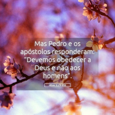 Picture 05 - Atos 5:29 BSL - Mas Pedro e os apóstolos responderam: “Devemos - Bible Verse Picture