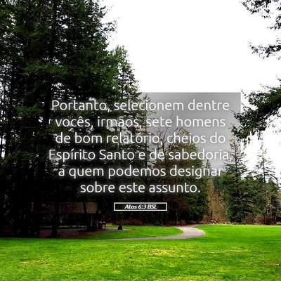 Picture 05 - Atos 6:3 BSL - Portanto, selecionem dentre vocês, irmãos, sete - Bible Verse Picture