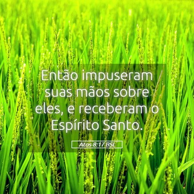 Picture 05 - Atos 8:17 BSL - Então impuseram suas mãos sobre eles, e - Bible Verse Picture