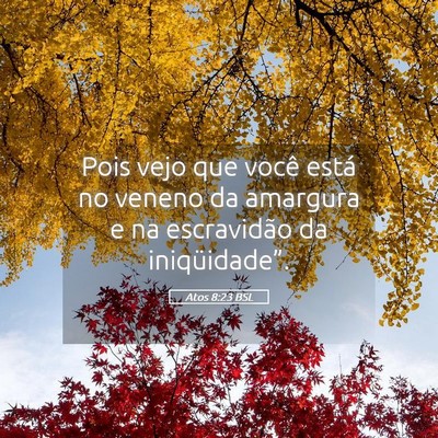 Picture 05 - Atos 8:23 BSL - Pois vejo que você está no veneno da amargura e - Bible Verse Picture