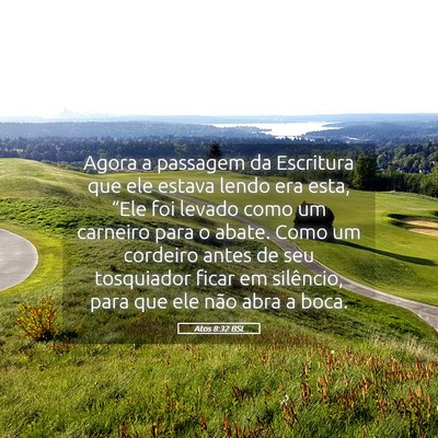 Picture 05 - Atos 8:32 BSL - Agora a passagem da Escritura que ele estava - Bible Verse Picture