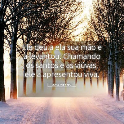 Picture 05 - Atos 9:41 BSL - Ele deu a ela sua mão e a levantou. Chamando os - Bible Verse Picture