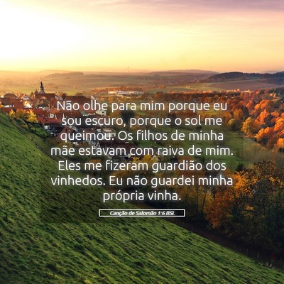 Picture 05 - Canção de Salomão 1:6 BSL - Não olhe para mim porque eu sou escuro, porque o - Bible Verse Picture