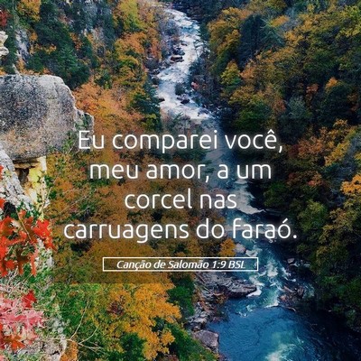 Picture 05 - Canção de Salomão 1:9 BSL - Eu comparei você, meu amor, a um corcel nas - Bible Verse Picture