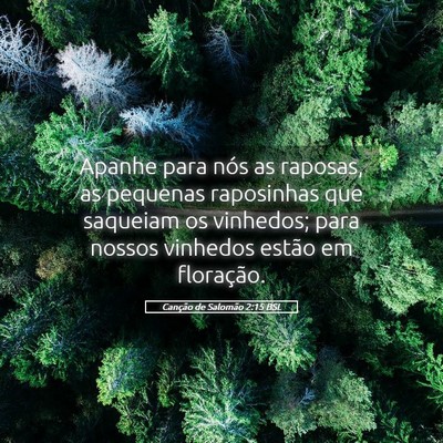 Picture 05 - Canção de Salomão 2:15 BSL - Apanhe para nós as raposas, as pequenas - Bible Verse Picture