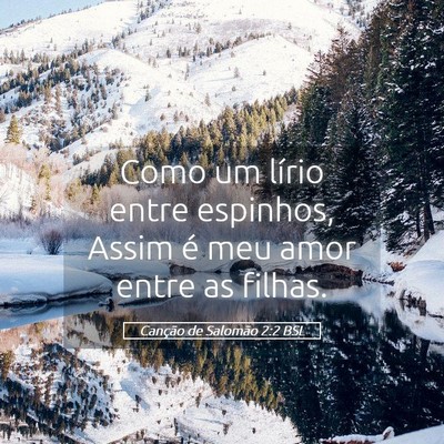 Picture 05 - Canção de Salomão 2:2 BSL - Como um lírio entre espinhos, Assim é meu amor - Bible Verse Picture