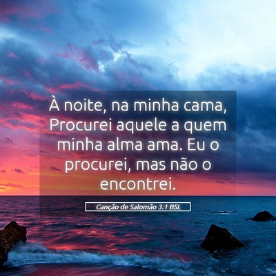 Picture 05 - Canção de Salomão 3:1 BSL - À noite, na minha cama, Procurei aquele a quem - Bible Verse Picture