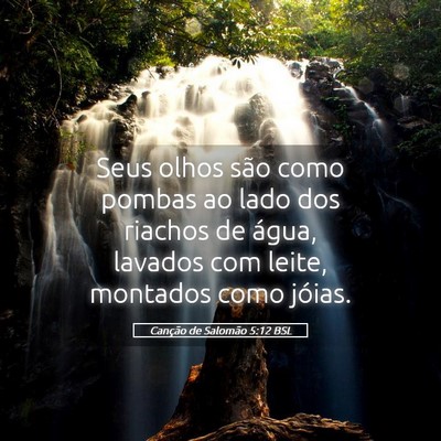 Picture 05 - Canção de Salomão 5:12 BSL - Seus olhos são como pombas ao lado dos riachos - Bible Verse Picture