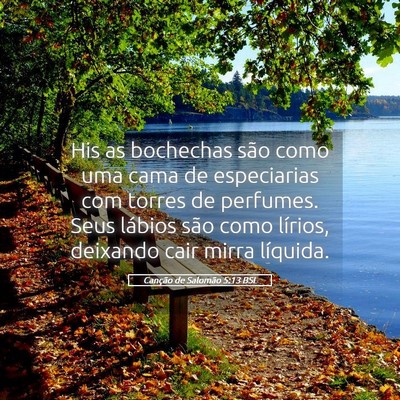Picture 05 - Canção de Salomão 5:13 BSL - His as bochechas são como uma cama de - Bible Verse Picture