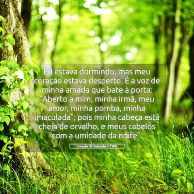 Picture 05 - Canção de Salomão 5:2 BSL - Eu estava dormindo, mas meu coração estava - Bible Verse Picture