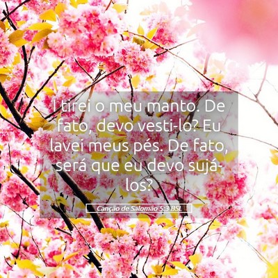 Picture 05 - Canção de Salomão 5:3 BSL - I tirei o meu manto. De fato, devo vesti-lo? Eu - Bible Verse Picture