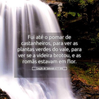 Picture 05 - Canção de Salomão 6:11 BSL - Fui até o pomar de castanheiros, para ver as - Bible Verse Picture