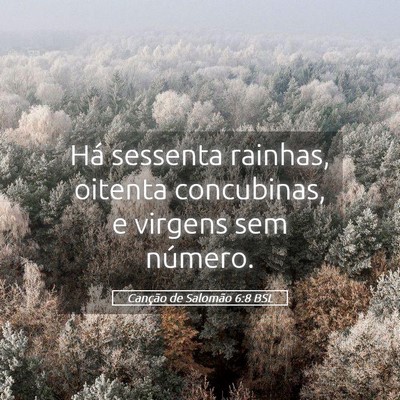 Picture 05 - Canção de Salomão 6:8 BSL - Há sessenta rainhas, oitenta concubinas, e - Bible Verse Picture