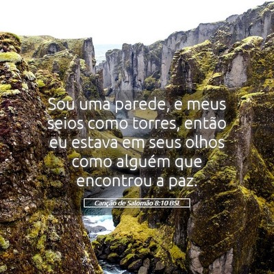 Picture 05 - Canção de Salomão 8:10 BSL - Sou uma parede, e meus seios como torres, então - Bible Verse Picture