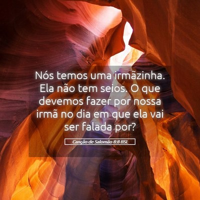 Picture 05 - Canção de Salomão 8:8 BSL - Nós temos uma irmãzinha. Ela não tem seios. O - Bible Verse Picture