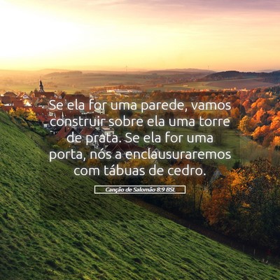 Picture 05 - Canção de Salomão 8:9 BSL - Se ela for uma parede, vamos construir sobre ela - Bible Verse Picture