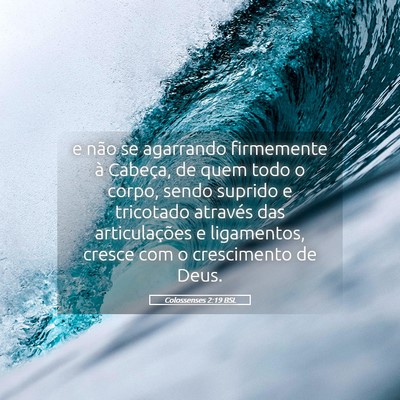 Picture 05 - Colossenses 2:19 BSL - e não se agarrando firmemente à Cabeça, de - Bible Verse Picture