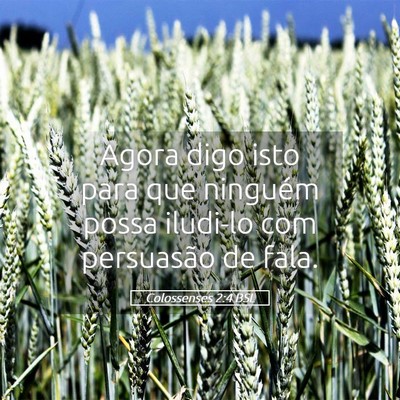 Picture 05 - Colossenses 2:4 BSL - Agora digo isto para que ninguém possa iludi-lo - Bible Verse Picture