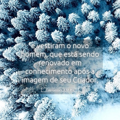 Picture 05 - Colossenses 3:10 BSL - e vestiram o novo homem, que está sendo renovado - Bible Verse Picture