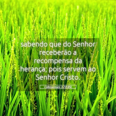 Picture 05 - Colossenses 3:24 BSL - sabendo que do Senhor receberão a recompensa da - Bible Verse Picture