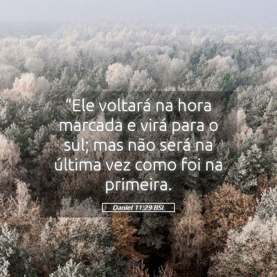 Picture 05 - Daniel 11:29 BSL - “Ele voltará na hora marcada e virá para o - Bible Verse Picture