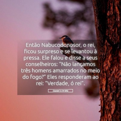Picture 05 - Daniel 3:24 BSL - Então Nabucodonosor, o rei, ficou surpreso e se - Bible Verse Picture