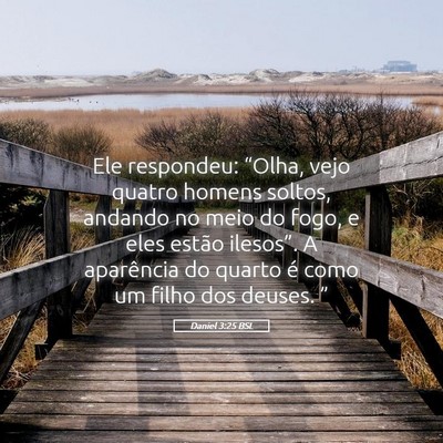 Picture 05 - Daniel 3:25 BSL - Ele respondeu: “Olha, vejo quatro homens - Bible Verse Picture