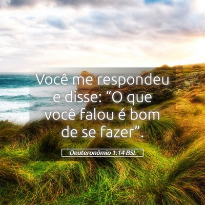 Picture 05 - Deuteronômio 1:14 BSL - Você me respondeu e disse: “O que você falou - Bible Verse Picture