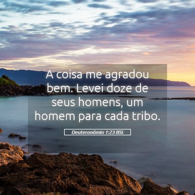 Picture 05 - Deuteronômio 1:23 BSL - A coisa me agradou bem. Levei doze de seus - Bible Verse Picture