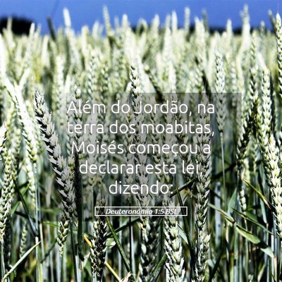 Picture 05 - Deuteronômio 1:5 BSL - Além do Jordão, na terra dos moabitas, Moisés - Bible Verse Picture