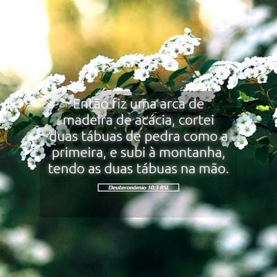 Picture 05 - Deuteronômio 10:3 BSL - Então fiz uma arca de madeira de acácia, cortei - Bible Verse Picture