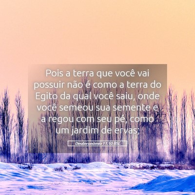 Picture 05 - Deuteronômio 11:10 BSL - Pois a terra que você vai possuir não é como a - Bible Verse Picture