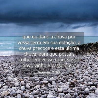 Picture 05 - Deuteronômio 11:14 BSL - que eu darei a chuva por vossa terra em sua - Bible Verse Picture