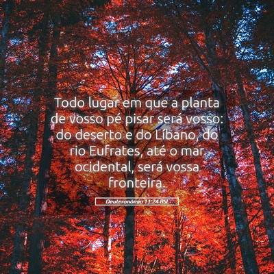 Picture 05 - Deuteronômio 11:24 BSL - Todo lugar em que a planta de vosso pé pisar - Bible Verse Picture