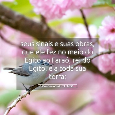 Picture 05 - Deuteronômio 11:3 BSL - seus sinais e suas obras, que ele fez no meio do - Bible Verse Picture