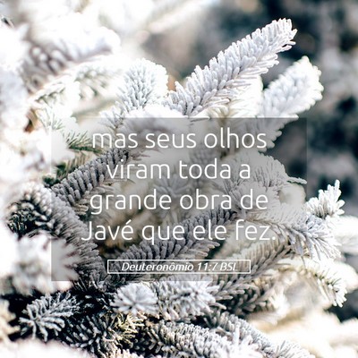Picture 05 - Deuteronômio 11:7 BSL - mas seus olhos viram toda a grande obra de Javé - Bible Verse Picture