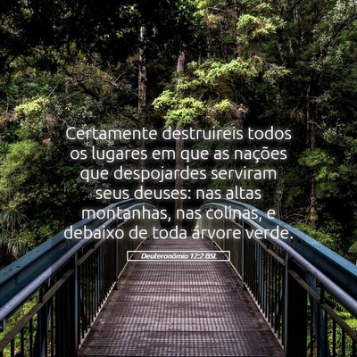 Picture 05 - Deuteronômio 12:2 BSL - Certamente destruireis todos os lugares em que as - Bible Verse Picture