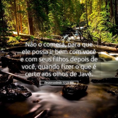 Picture 05 - Deuteronômio 12:25 BSL - Não o comerá, para que ele possa ir bem com - Bible Verse Picture