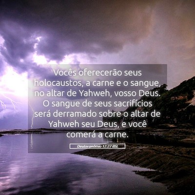 Picture 05 - Deuteronômio 12:27 BSL - Vocês oferecerão seus holocaustos, a carne e o - Bible Verse Picture