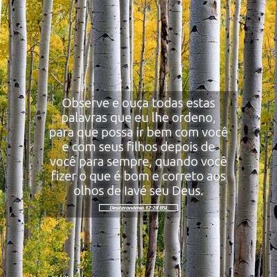 Picture 05 - Deuteronômio 12:28 BSL - Observe e ouça todas estas palavras que eu lhe - Bible Verse Picture