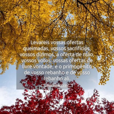 Picture 05 - Deuteronômio 12:6 BSL - Levareis vossas ofertas queimadas, vossos - Bible Verse Picture