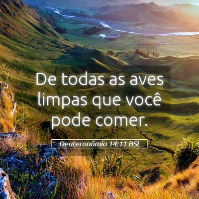 Picture 05 - Deuteronômio 14:11 BSL - De todas as aves limpas que você pode - Bible Verse Picture