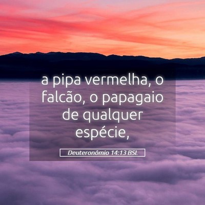 Picture 05 - Deuteronômio 14:13 BSL - a pipa vermelha, o falcão, o papagaio de - Bible Verse Picture