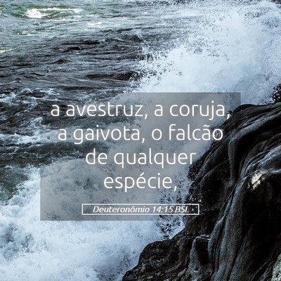 Picture 05 - Deuteronômio 14:15 BSL - a avestruz, a coruja, a gaivota, o falcão de - Bible Verse Picture