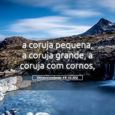 Picture 05 - Deuteronômio 14:16 BSL - a coruja pequena, a coruja grande, a coruja com - Bible Verse Picture