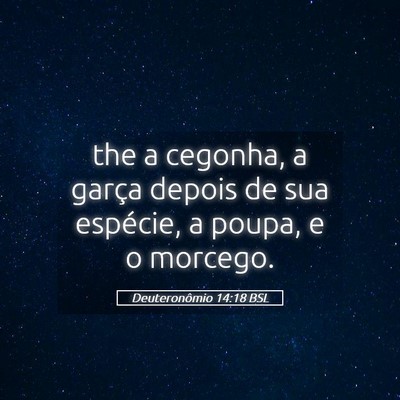 Picture 05 - Deuteronômio 14:18 BSL - the a cegonha, a garça depois de sua espécie, a - Bible Verse Picture