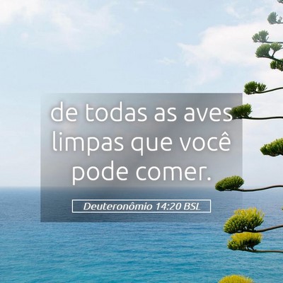Picture 05 - Deuteronômio 14:20 BSL - de todas as aves limpas que você pode - Bible Verse Picture