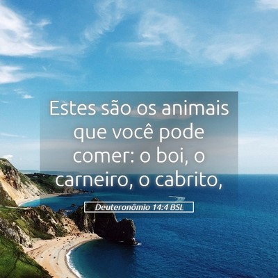 Picture 05 - Deuteronômio 14:4 BSL - Estes são os animais que você pode comer: o - Bible Verse Picture