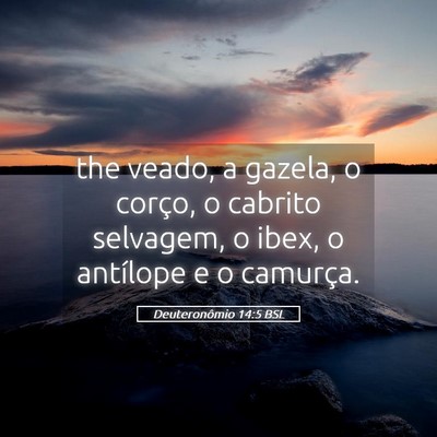 Picture 05 - Deuteronômio 14:5 BSL - the veado, a gazela, o corço, o cabrito - Bible Verse Picture